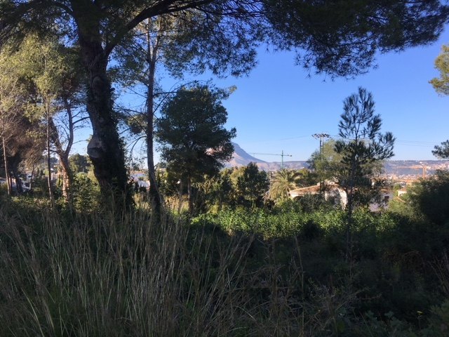 Uitstekend perceel te koop in Cap Marti - Javea